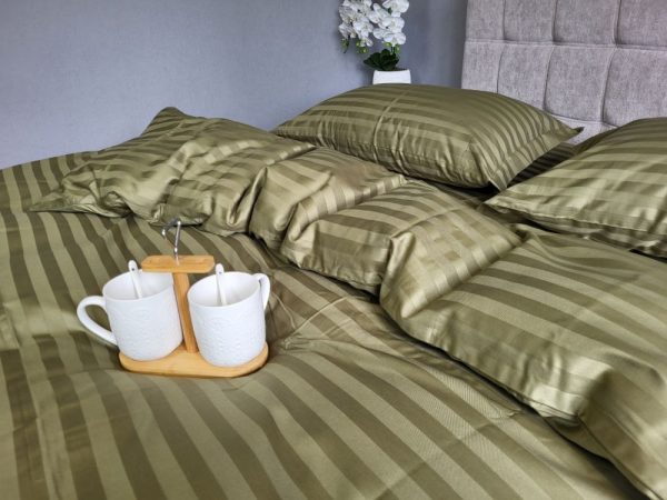 Stripe PREMIUM, KHAKI 2/2см
