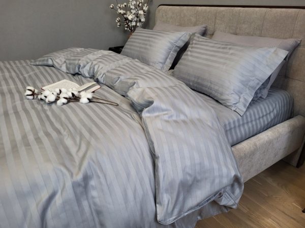 Stripe PREMIUM, SILVER STONE 2/2см